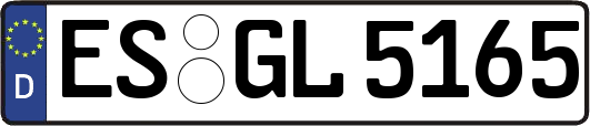 ES-GL5165