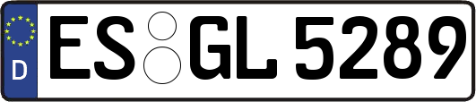 ES-GL5289