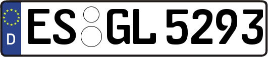 ES-GL5293