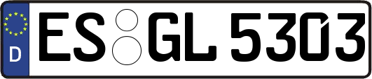 ES-GL5303