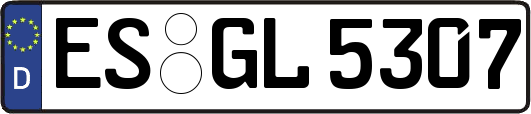 ES-GL5307