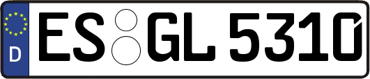 ES-GL5310