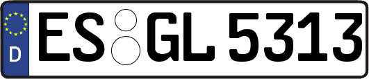 ES-GL5313