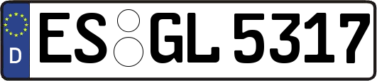 ES-GL5317