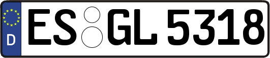 ES-GL5318