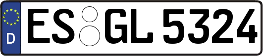 ES-GL5324