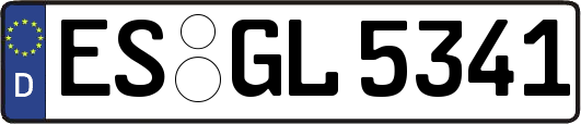 ES-GL5341