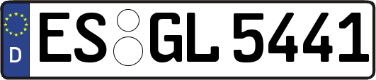 ES-GL5441