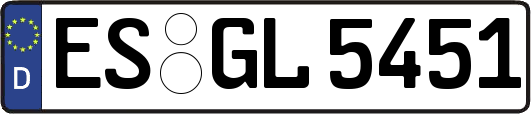 ES-GL5451
