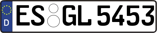 ES-GL5453