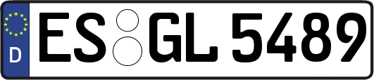 ES-GL5489