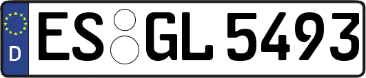 ES-GL5493
