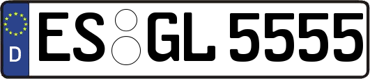 ES-GL5555