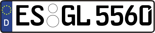 ES-GL5560