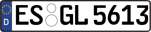 ES-GL5613
