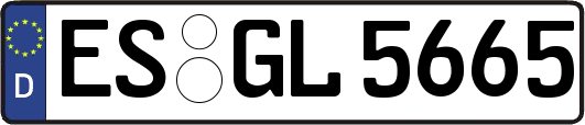 ES-GL5665