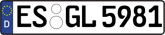 ES-GL5981