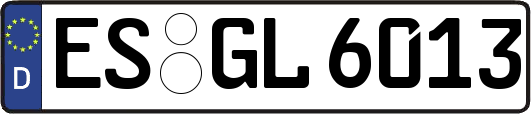 ES-GL6013