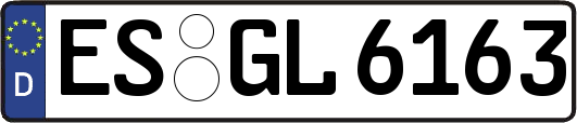 ES-GL6163
