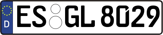 ES-GL8029