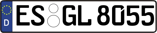 ES-GL8055