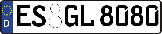 ES-GL8080