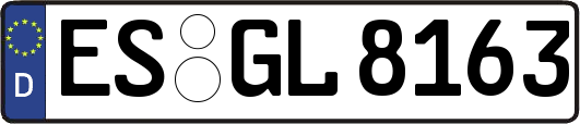 ES-GL8163