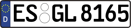 ES-GL8165
