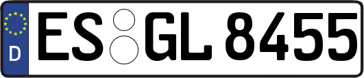 ES-GL8455