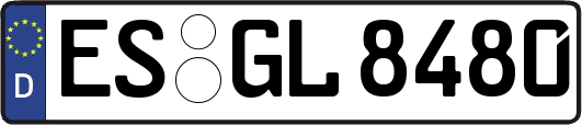 ES-GL8480