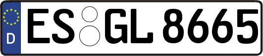 ES-GL8665