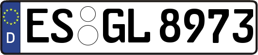 ES-GL8973