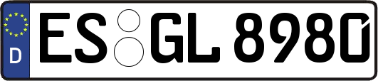 ES-GL8980