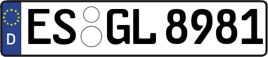 ES-GL8981