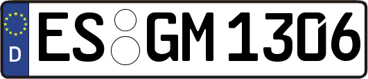 ES-GM1306