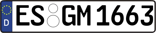 ES-GM1663