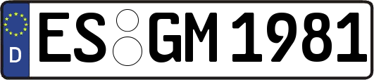 ES-GM1981