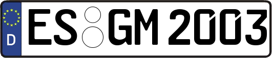 ES-GM2003