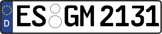 ES-GM2131