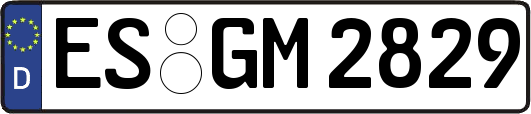 ES-GM2829