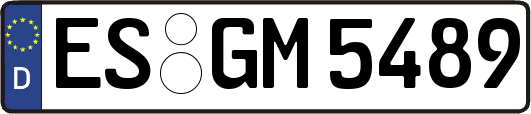 ES-GM5489