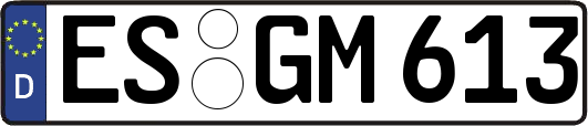 ES-GM613