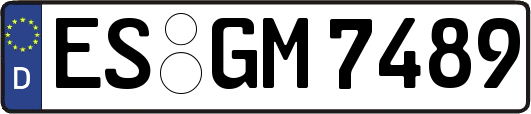 ES-GM7489