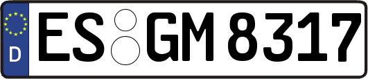 ES-GM8317