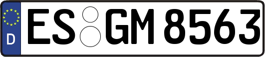 ES-GM8563