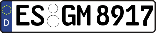 ES-GM8917