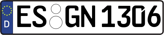 ES-GN1306