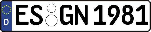ES-GN1981