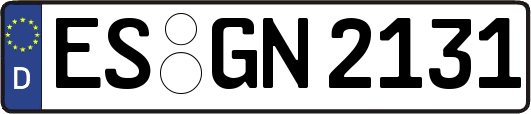 ES-GN2131