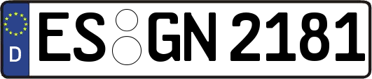 ES-GN2181